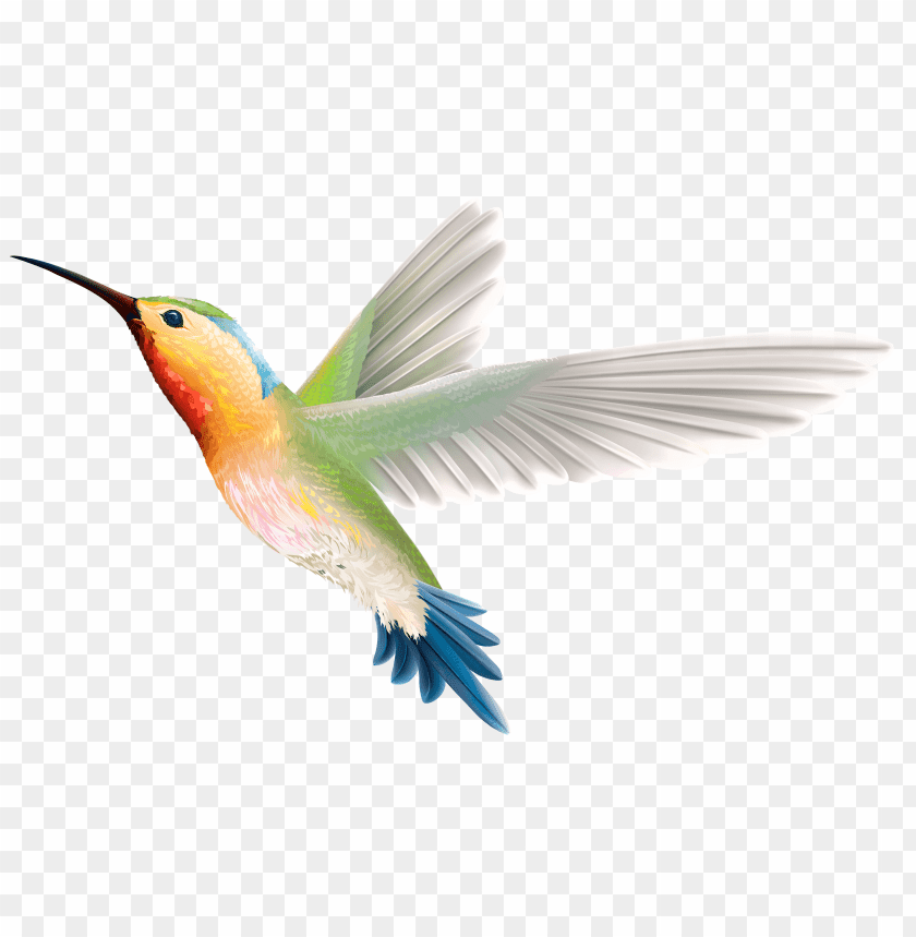 birds png images background - Image ID 455