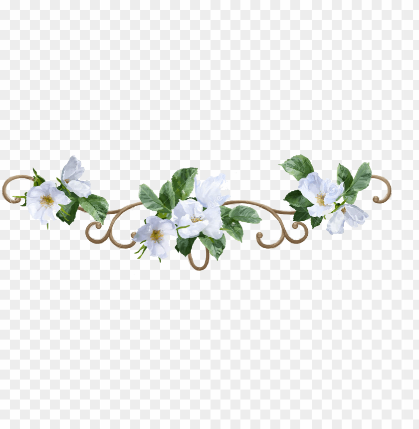 flower border png white flower border PNG transparent with Clear Background ID 163949