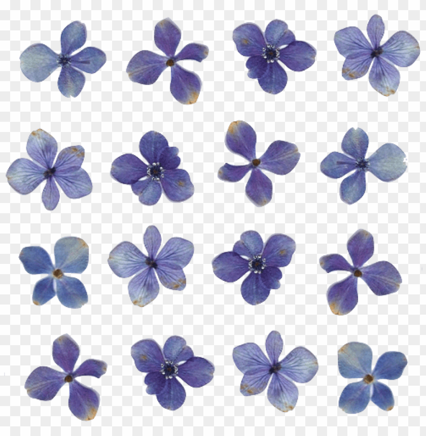 flowers transparent tumblr PNG transparent with Clear Background ID 113852