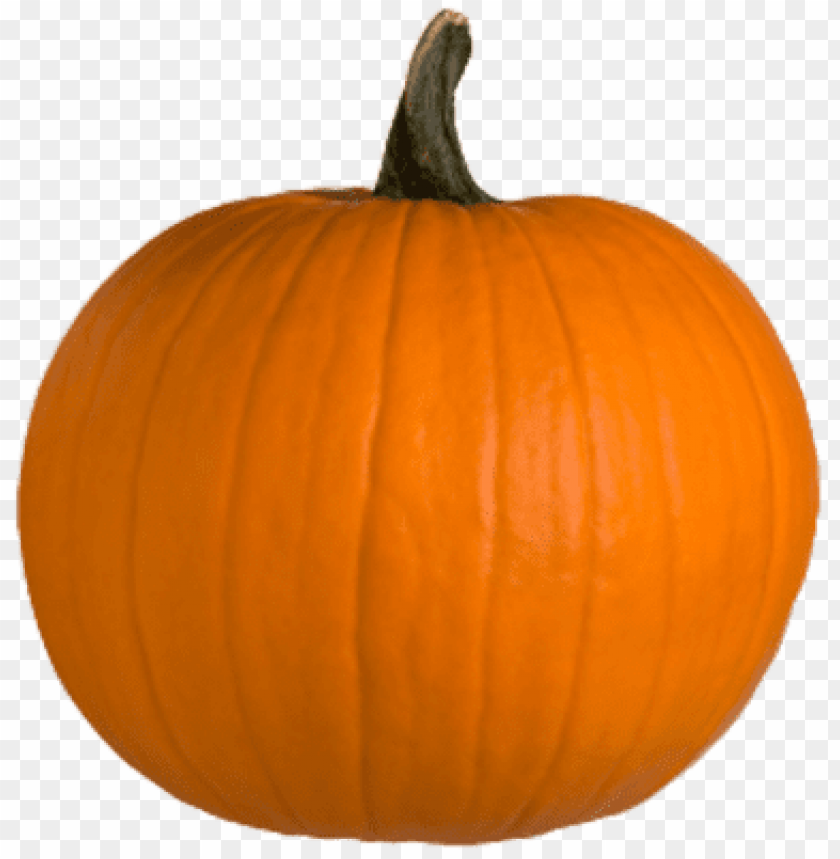 pumpkin PNG transparent with Clear Background ID 79719